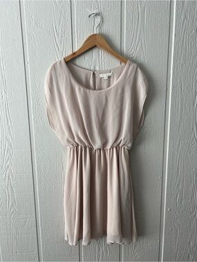 Lush Pale Blush Cap Sleeve Waist-Defined Dress